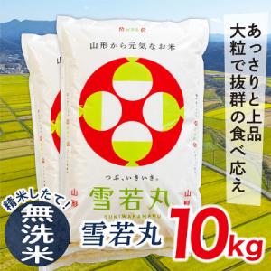 【無洗米】令和7年産山形県産雪若丸10kg
