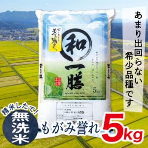 【無洗米】令和7年産山形県産もがみ誉れ5kg