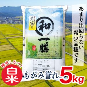 【白米】令和7年産山形県産もがみ誉れ5kg