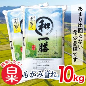 【白米】令和7年産山形県産もがみ誉れ10kg