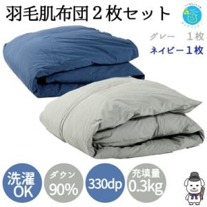 【春夏用】洗える羽毛肌掛け布団シングルサイズダウン90%0.3kg洗濯可能ネイビーグレー2枚セット