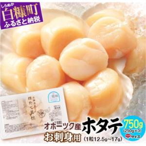 ふるさと納税 ホタテ 白糠町 オホーツク産 刺身用ホタテ玉冷 750g(250g×3) 小分けパック｜y-sf