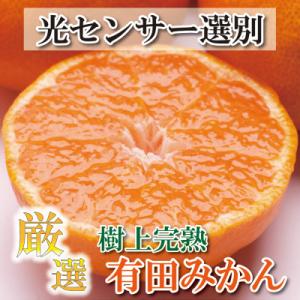 ふるさと納税 紀の川市 樹上完熟有田みかん4kg+120g(傷み補償分)【光センサー選果】
