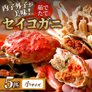蟹の匠 魚政 内子外子が美味! 茹でたて セイコガニ(セコ蟹)(香箱ガニ)(こっぺ)小サイズ 5匹