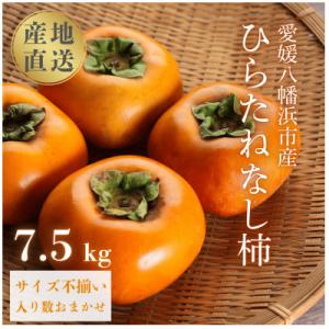 国安さんちのひらたねなし柿 7.5kg【F20-27】