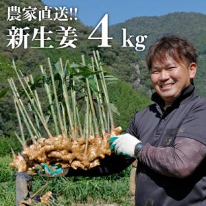 ふるさと納税 日高村 【先行受付】農家直送!秋の新生姜 4kg