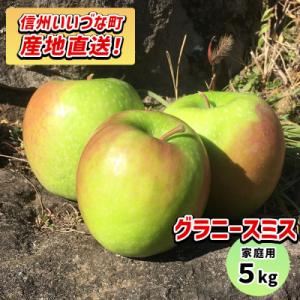 ふるさと納税 飯綱町 【訳あり】 りんご グラニースミス 家庭用 5kg