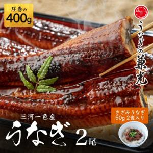ふるさと納税 西尾市 三河一色産鰻蒲焼 特大2尾...の商品画像