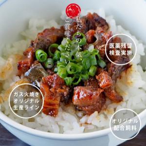 ふるさと納税 西尾市 三河一色産鰻蒲焼 特大2...の詳細画像1