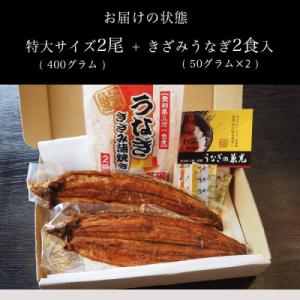 ふるさと納税 西尾市 三河一色産鰻蒲焼 特大2...の詳細画像2