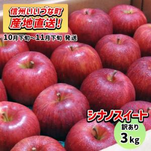 【訳あり】 りんご シナノスイート 2026年10月下旬～11月下旬 3kg