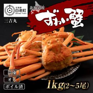 ふるさと納税 白老町 北海道産!冷凍ボイルずわい蟹1kg(2〜5尾入り)、かに酢15g