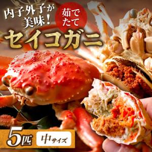 蟹の匠 魚政の内子外子が美味!茹でたて セイコガニ(セコ蟹)(香箱ガニ)(こっぺ)中サイズ 5匹
