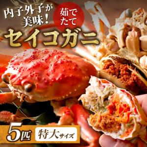 蟹の匠 魚政の内子外子が美味! 茹でたて セイコガニ(セコ蟹)(香箱ガニ)(こっぺ)特大サイズ 5匹