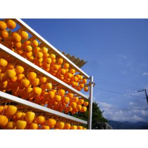 ふるさと納税 笛吹市 【2026年発送】甲州百...の詳細画像2