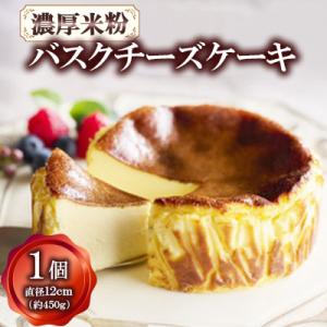 濃厚米粉バスクチーズケーキ