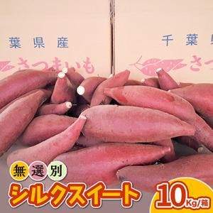 香取市産　無選別さつま芋「シルクスイート」大きさ・形不ぞろい　10kg箱