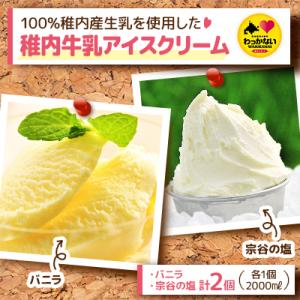 ふるさと納税 稚内市 【業務用】稚内牛乳アイスクリーム2000mlバニラ×宗谷の塩2個セット