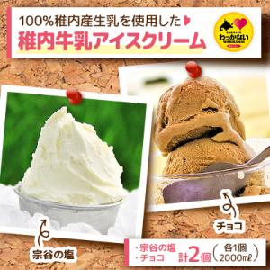 ふるさと納税 稚内市 【業務用】稚内牛乳アイスクリーム2000ml宗谷の塩×チョコ2個セット