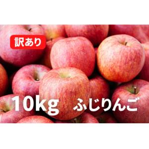 ふるさと納税 りんご 山形県 《2025年先行受付》りんご「ふじりんご」訳あり 10kg