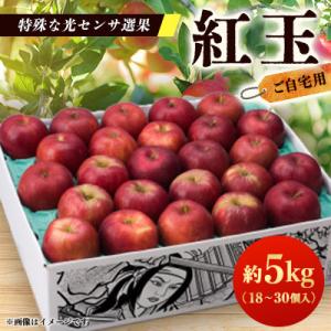 【ご自宅用　紅玉　令和8年9月下旬～発送】約5k(18～30個入)黒昇会DB箱入　特殊な光センサ選果