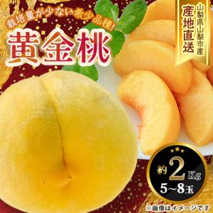 2026年発送 山梨県山梨市産 黄桃 黄金桃 約2kg 5玉～8玉