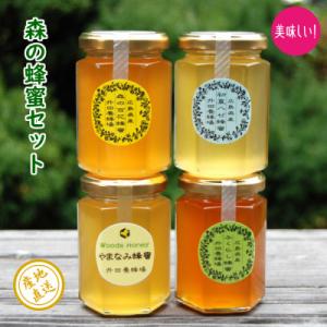 ふるさと納税 三次市 国産純粋はちみつ　広島県産『森の蜂蜜セット180g4本入』