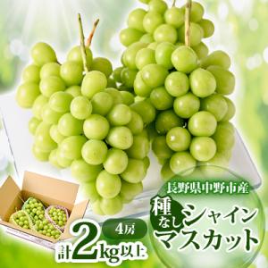 ふるさと納税 シャインマスカット 中野市 長野県　中野市産　シャインマスカット4房(2.0kg以上)