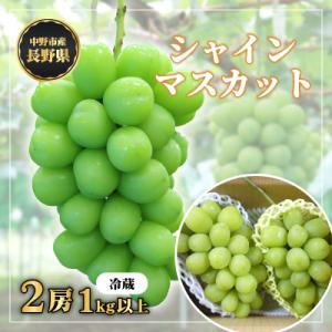 長野県中野市産　冬でも食べれる　シャインマスカット2房(1.0kg以上)