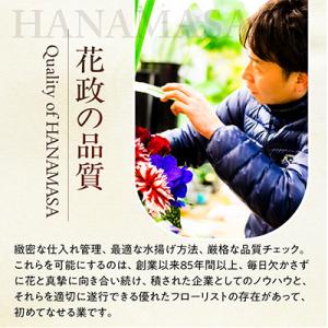 ふるさと納税 小田原市 「毎月2回」届く、旬の...の詳細画像2