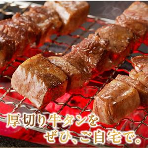 ふるさと納税 宇土市 こだわりのやきとり 厚切...の詳細画像1