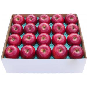 ふるさと納税 青森市 りんご 紅玉 家庭用 約5kg