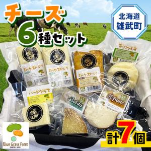 ふるさと納税 雄武町 北海道産チーズセット(6種類)【B1001】