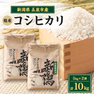 令和7年産新潟県五泉市産　コシヒカリ　10kg(5kg×2袋)　精米