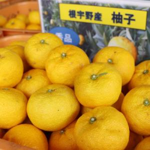 ≪先行受付≫【神河町特産】根宇野(みよの)の柚子(ゆず) 約2kg　※11月上旬〜順次発送