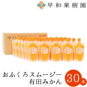 【早和果樹園】おふくろスムージー有田みかん　飲むみかんゼリー(パウチタイプジュレ)170g×30本入
