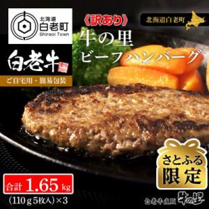 【さとふる限定】【訳あり】牛肉100% 北海道白老町の牛の里ビーフハンバーグ