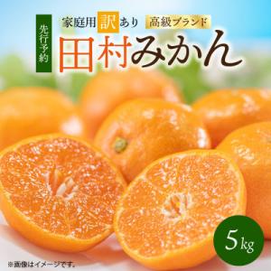 【2026年11月末頃より発送】【ご家庭用訳あり】田村みかん　5kg