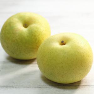 ふるさと納税 小山市 栃木県小山市産「梨」秋麗 5kg