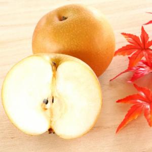 栃木県小山市産「梨」あきづき　5kg
