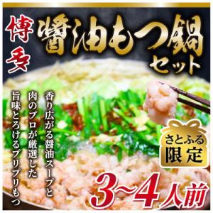 ふるさと納税 大刀洗町 【さとふる限定】博多醤油もつ鍋　3〜4人前セット(大刀洗町)