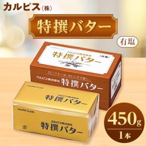 ふるさと納税 館林市 「カルピス(株)特撰バター」450g(有塩)×1本｜さとふる