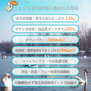 ふるさと納税 筑後市 抗菌ダウン率85%1.0...の詳細画像3