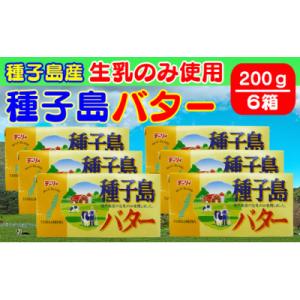 ふるさと納税 西之表市 種子島バター 6個セット