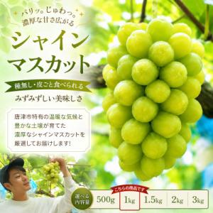 【濃厚芳醇】シャインマスカット 1kg 佐賀県唐津産　2026年9月より順次発送/先行受付