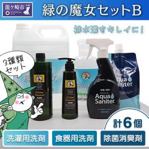 ふるさと納税 龍ケ崎市 緑の魔女セットB 大手会...の商品画像