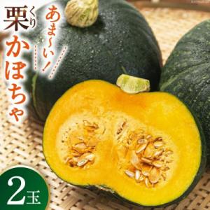甘くてほくほく　くりカボチャ(完熟) 2個