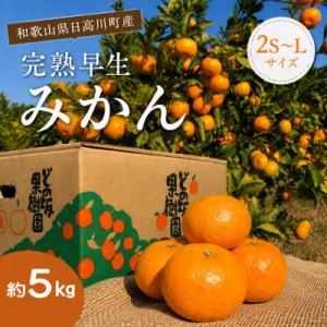 甘い!旨い!完熟早生みかん5kg(2S～Lサイズ)　/和歌山県日高川町産