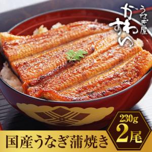 すごく大きい!国産うなぎ蒲焼2尾セット(総量460g以上)