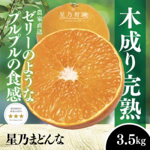 星乃みかん園の 星乃まどんな (3.5kg)【D45-63】